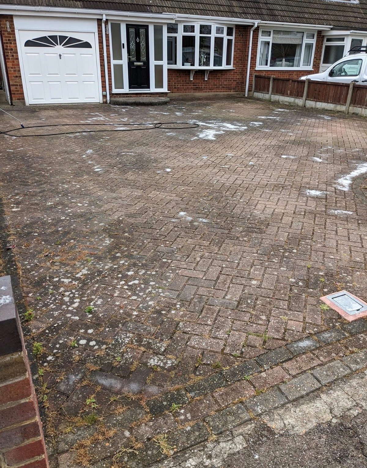 Brick driveway with moss and algae growth before pressure washing
